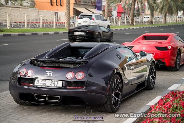 Bugatti Veyron spotted in Dubai, United Arab Emirates