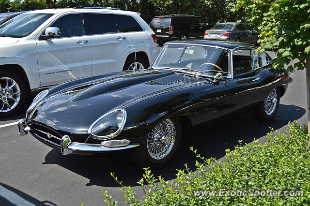 Jaguar E-Type spotted in Cincinnati, Ohio