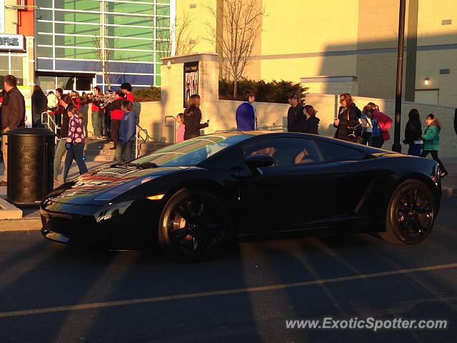 Lamborghini Gallardo spotted in Center valley, Pennsylvania