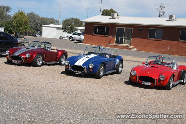 Shelby Cobra spotted in Winton, Australia