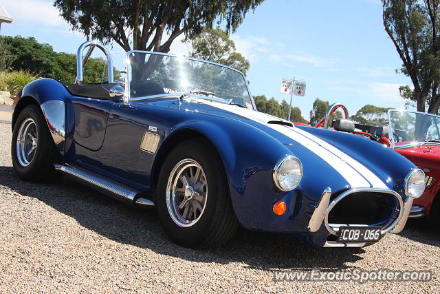 Shelby Cobra spotted in Winton, Australia