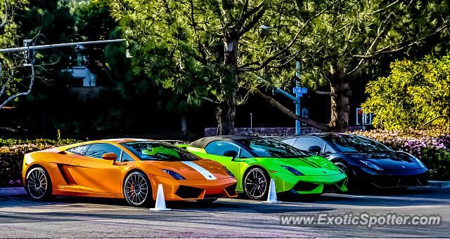 Lamborghini Gallardo spotted in Carmel Valley, California