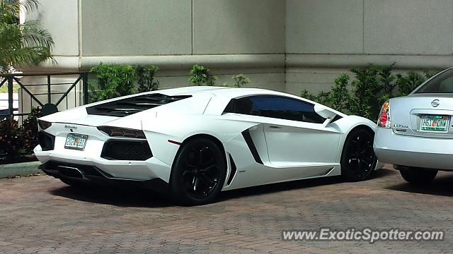 Lamborghini Aventador spotted in Tampa, Florida