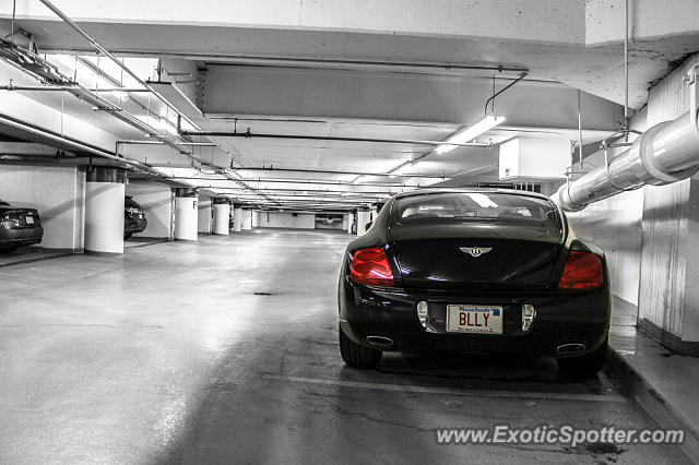 Bentley Continental spotted in Boston, Massachusetts