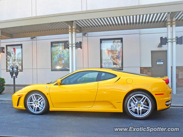 [http://www.exoticspotter.com/images/144/143241.jpg]