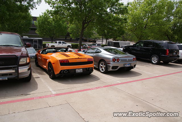 Lamborghini Gallardo spotted in Dallas, Texas