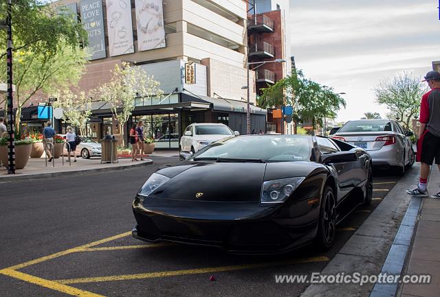 Lamborghini Murcielago spotted in Scottsdale, Arizona