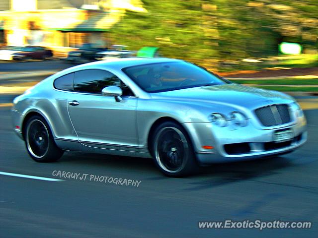 Bentley Continental spotted in Greenwood, Colorado