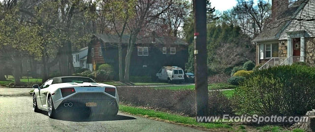 Lamborghini Gallardo spotted in Harrington park, New Jersey