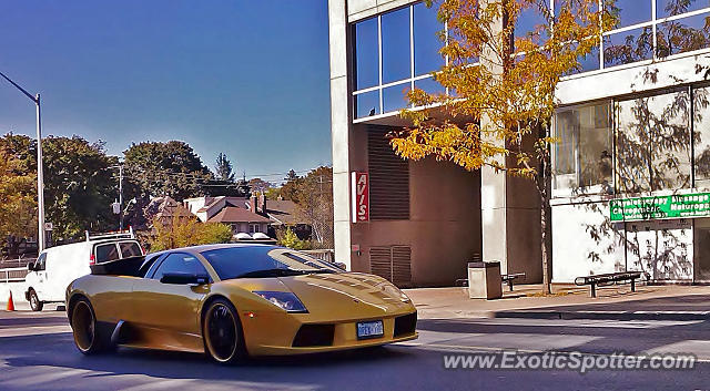 Lamborghini Murcielago spotted in Toronto, Canada