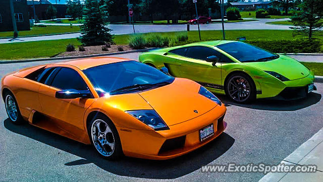Lamborghini Murcielago spotted in London Ontario, Canada
