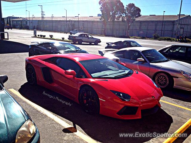 Lamborghini Aventador spotted in Puebla, Mexico