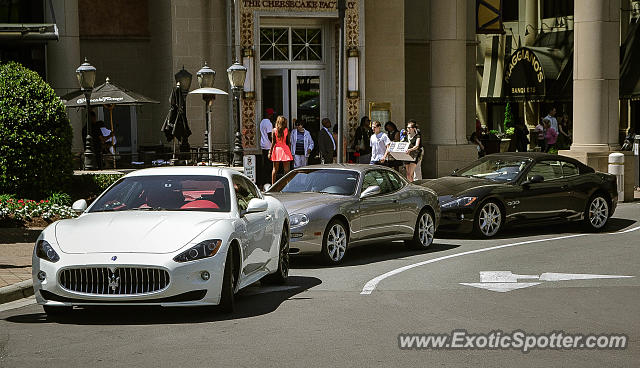 Maserati GranTurismo spotted in Charlotte, North Carolina