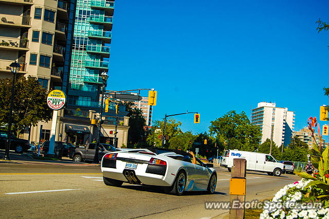 Lamborghini Murcielago spotted in Burlington, Canada