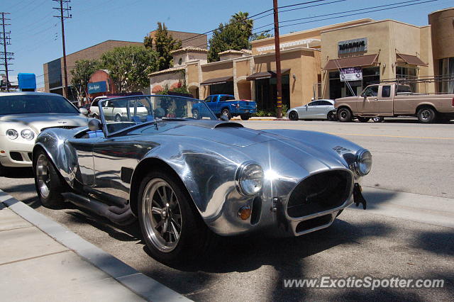 Other Kit Car spotted in Los Angeles, California