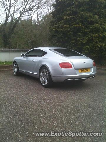 Bentley Continental spotted in Tiverton, United Kingdom