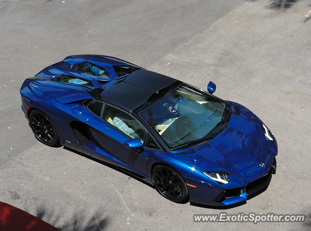 Lamborghini Aventador spotted in Bal Harbour, Florida