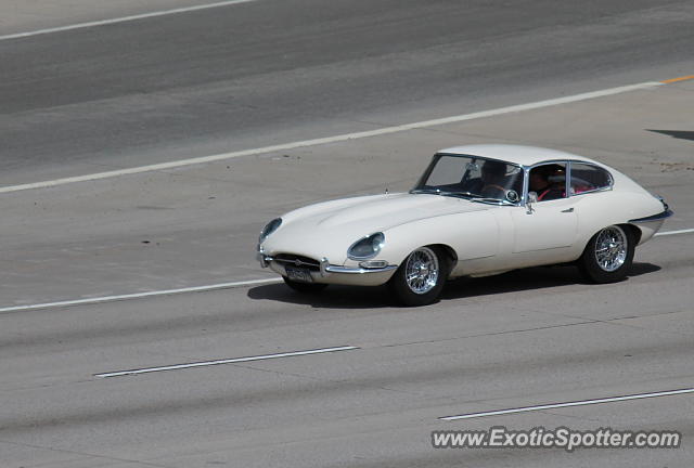 Jaguar E-Type spotted in Denver, Colorado