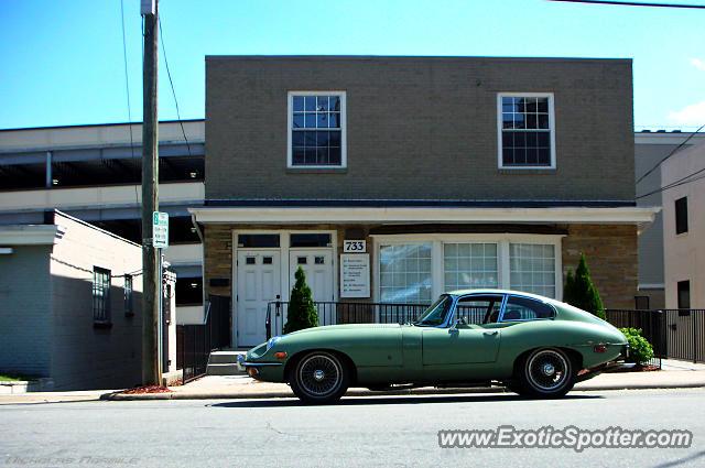 Jaguar E-Type spotted in Raleigh, North Carolina