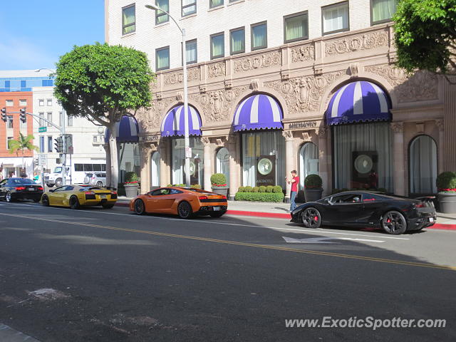 [http://www.exoticspotter.com/images/148/147090.jpg]