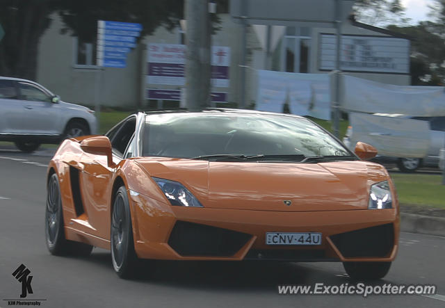 Lamborghini Gallardo spotted in Sydney, Australia