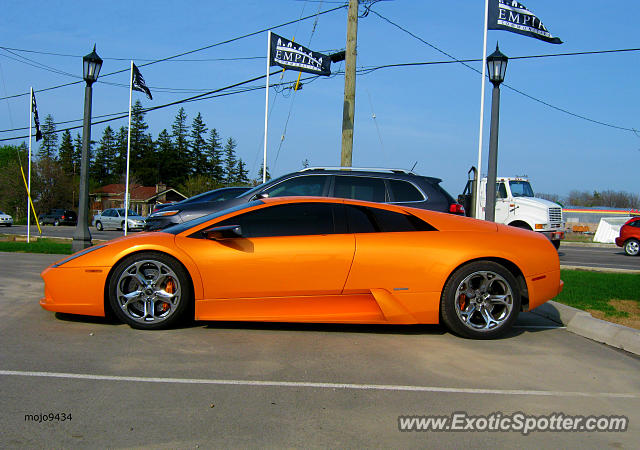 Lamborghini Murcielago spotted in Hamilton, Canada