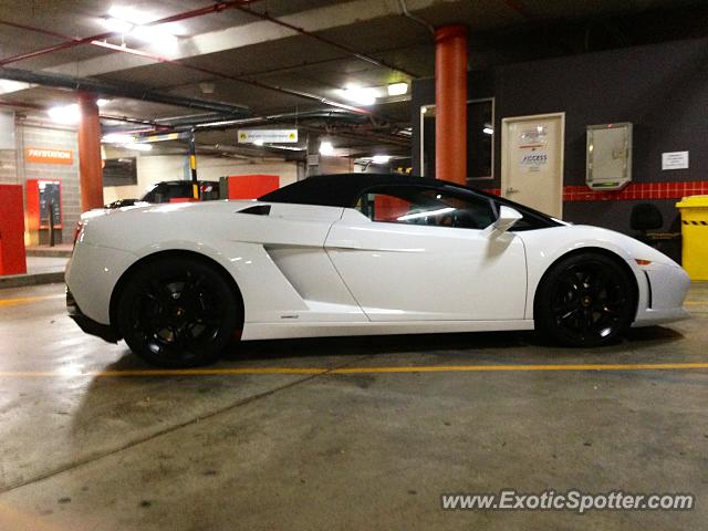 Lamborghini Gallardo spotted in Sydney, Australia