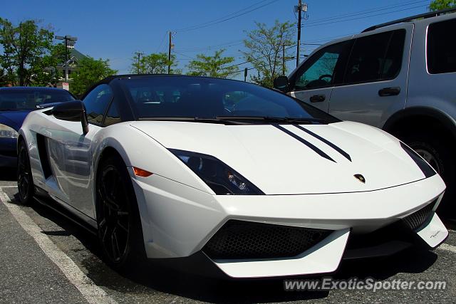 Lamborghini Gallardo spotted in Potomac, Maryland