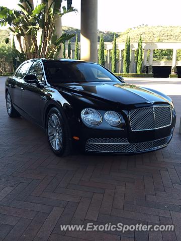 Bentley Continental spotted in Los Angeles, California