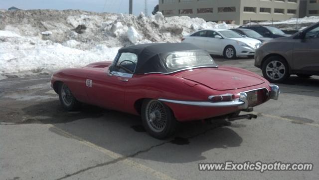 Jaguar E-Type spotted in Fredericton, NB, Canada