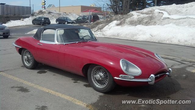 Jaguar E-Type spotted in Fredericton, NB, Canada