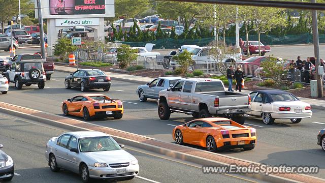 Lamborghini Gallardo spotted in Ocean City, Maryland