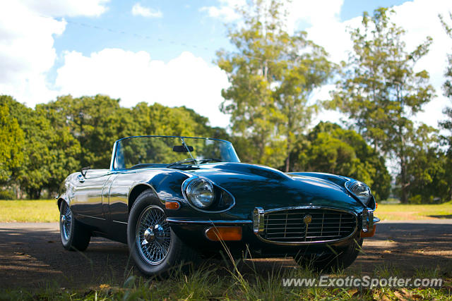 Jaguar E-Type spotted in Brasilia, Brazil