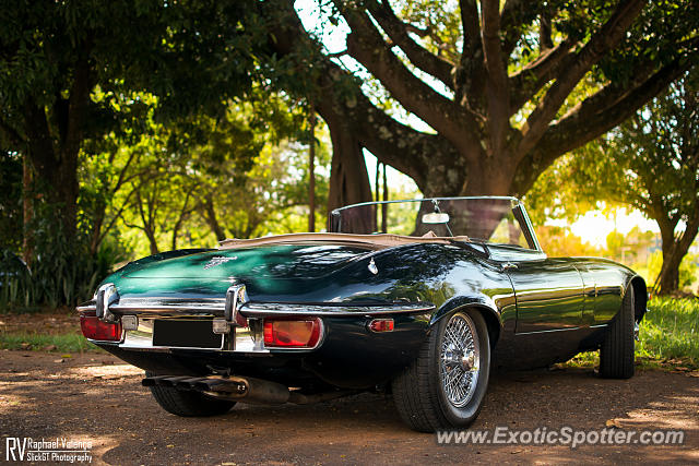 Jaguar E-Type spotted in Brasilia, Brazil
