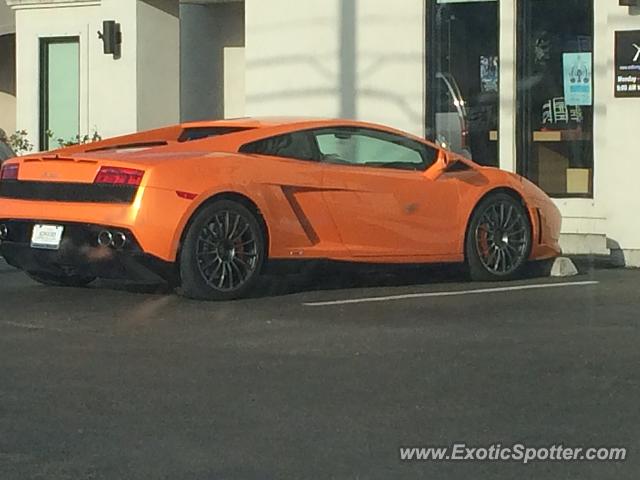 Lamborghini Gallardo spotted in Corpus Christi, Texas