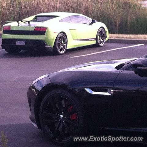 Lamborghini Gallardo spotted in Cincinnati, Ohio