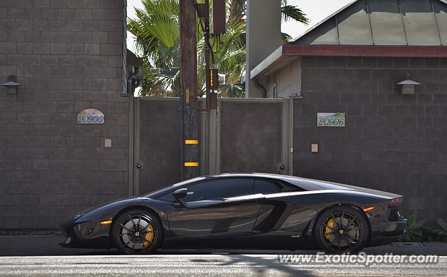 Lamborghini Aventador spotted in Malibu, California