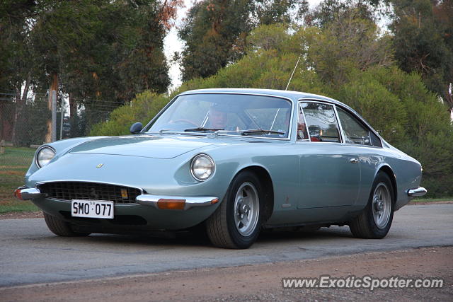 Ferrari 365 GT spotted in Winton, Australia