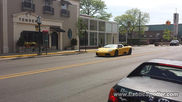 Lamborghini Murcielago spotted in Birmingham, Michigan
