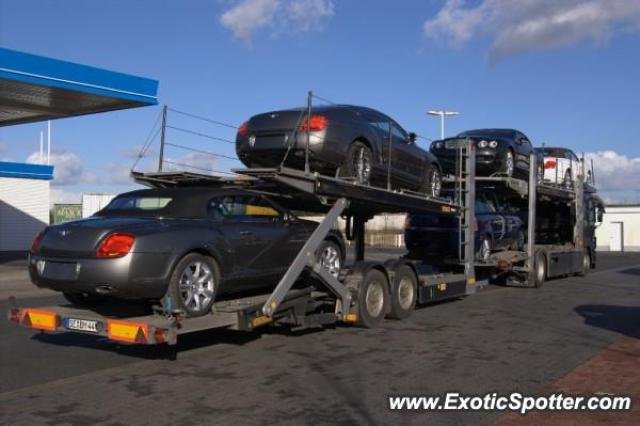 Bentley Continental spotted in Sittensen, Germany