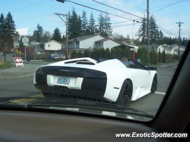 Lamborghini Murcielago spotted in Everett, Washington