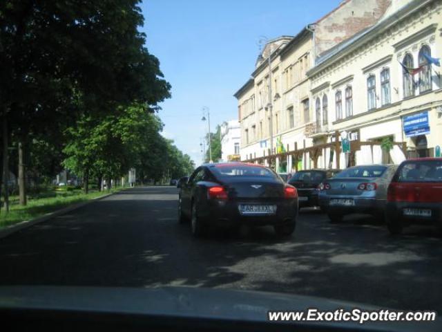 Bentley Continental spotted in Arad, Romania