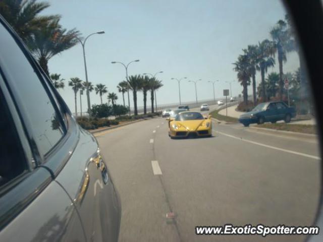 Ferrari Enzo spotted in Sarasota, Florida