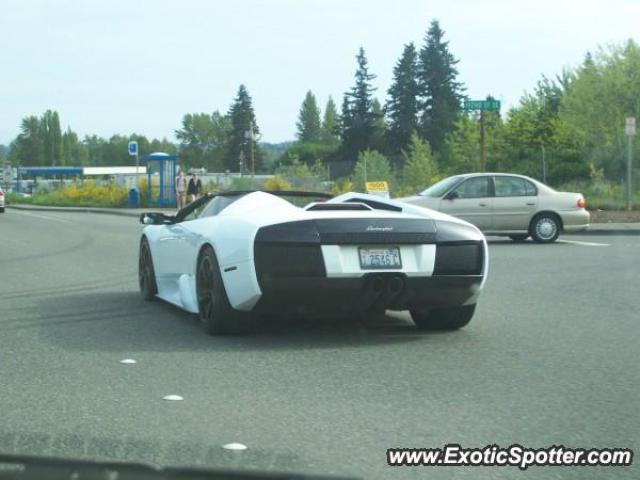 Lamborghini Murcielago spotted in Bothell, Washington