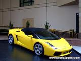 Lamborghini Gallardo