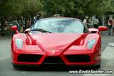 Ferrari Enzo