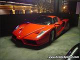Ferrari Enzo