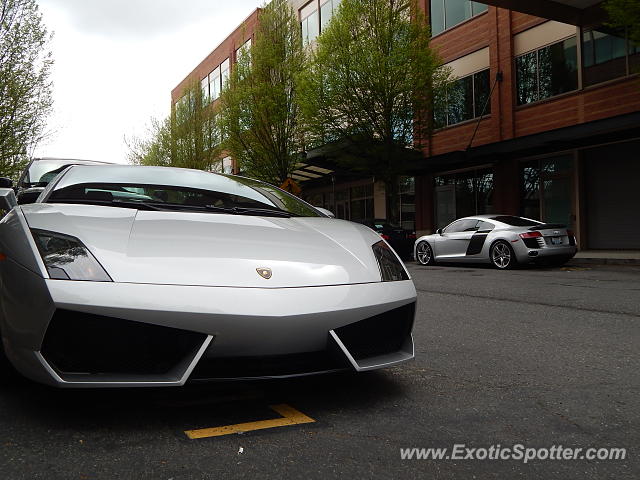 Lamborghini Gallardo spotted in Redmond, Washington