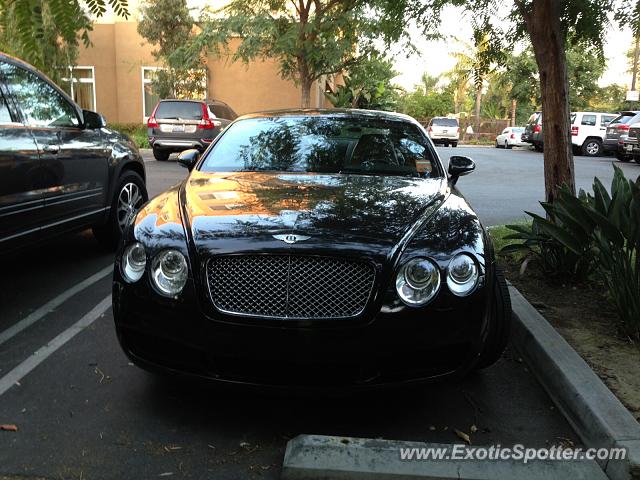 Bentley Continental spotted in Los Angeles, California