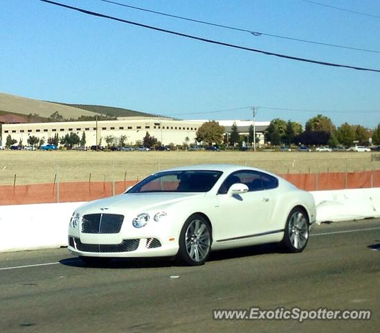 Bentley Continental spotted in Livermore, California